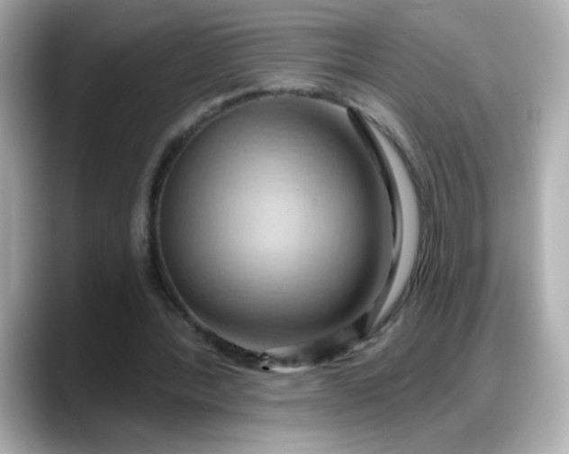 X0000088380388200706051103