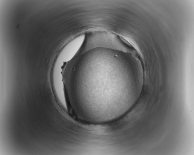 X0000088380389200706051103