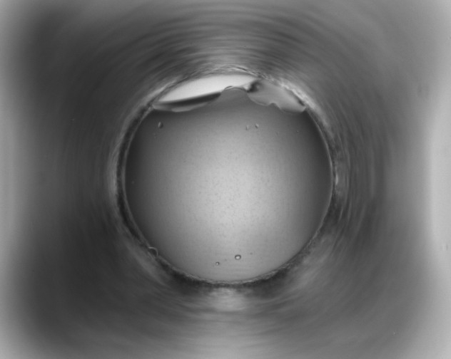 X0000088380390200706051103