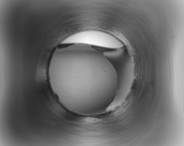 X0000088380393200706051103
