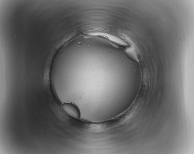 X0000088380394200706051103