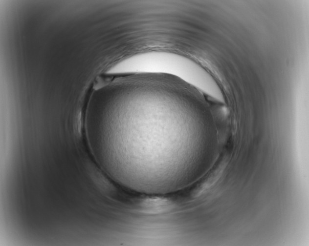 X0000088380397200706051103