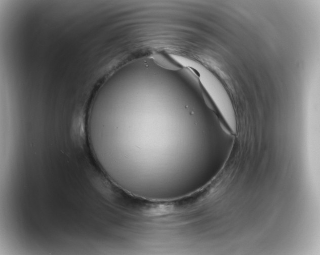 X0000088380398200706051103