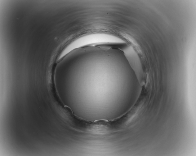 X0000088380399200706051103