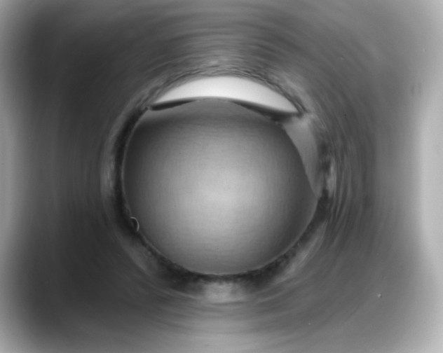 X0000088380400200706051103