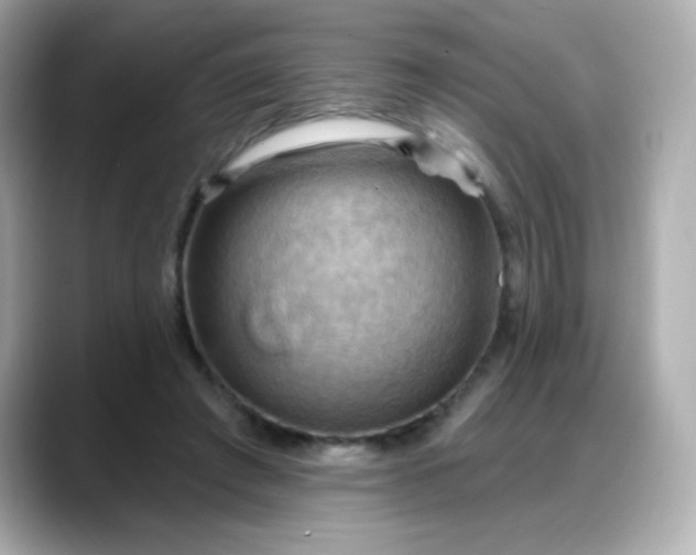 X0000088380401200706051103