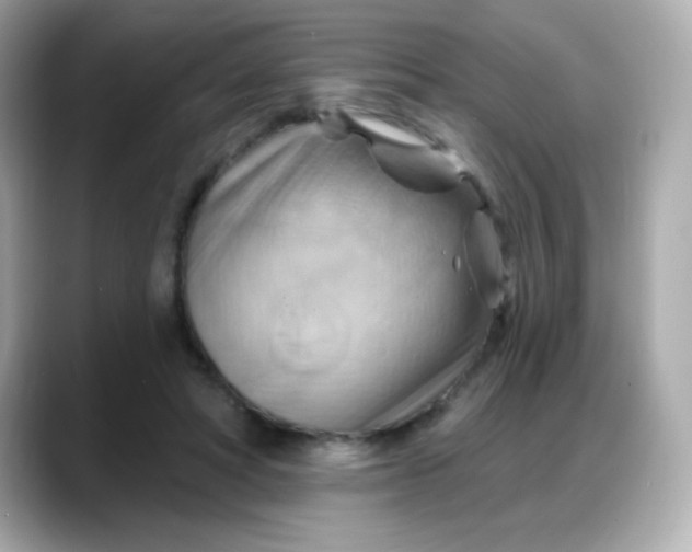X0000088380402200706051103