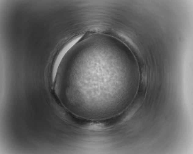 X0000088380403200706051103