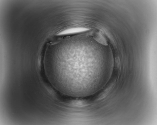 X0000088380404200706051103