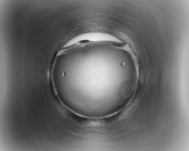 X0000088380405200706051103