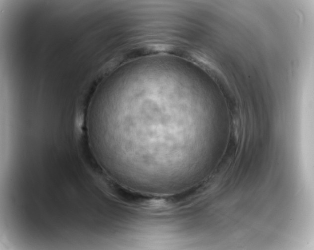 X0000088380406200706051103