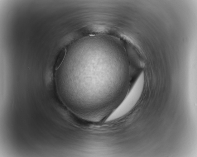 X0000088380407200706051103