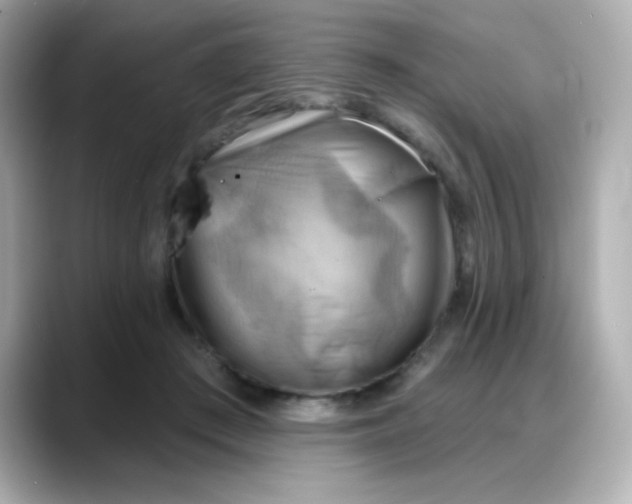 X0000088380409200706051103