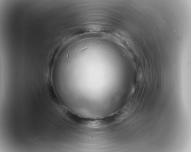 X0000088380411200706051103