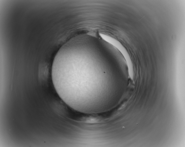 X0000088380412200706051103