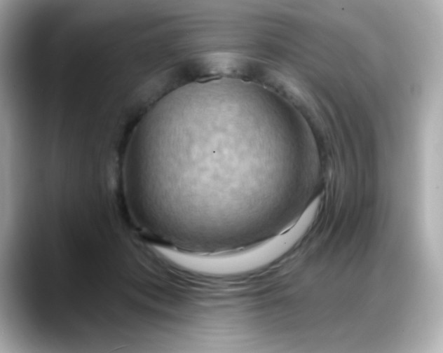 X0000088380413200706051103