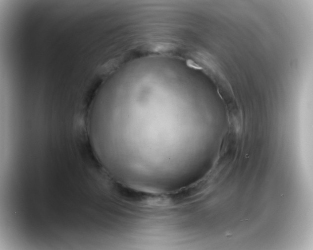X0000088380415200706051103