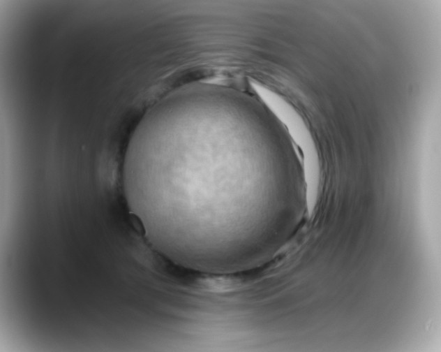 X0000088380417200706051103
