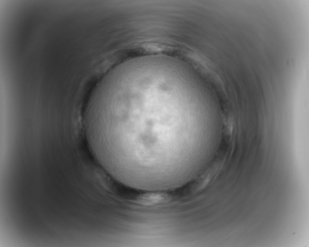 X0000088380418200706051103