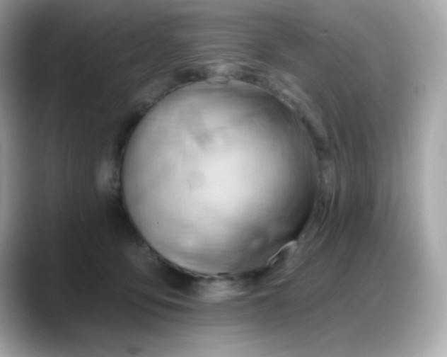 X0000088380419200706051103