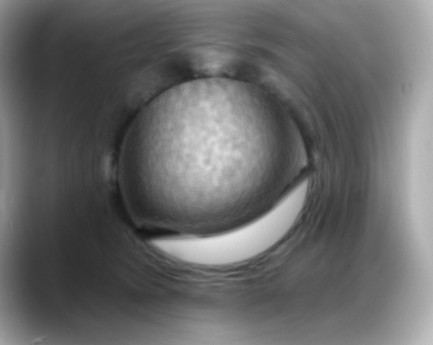 X0000088380420200706051103