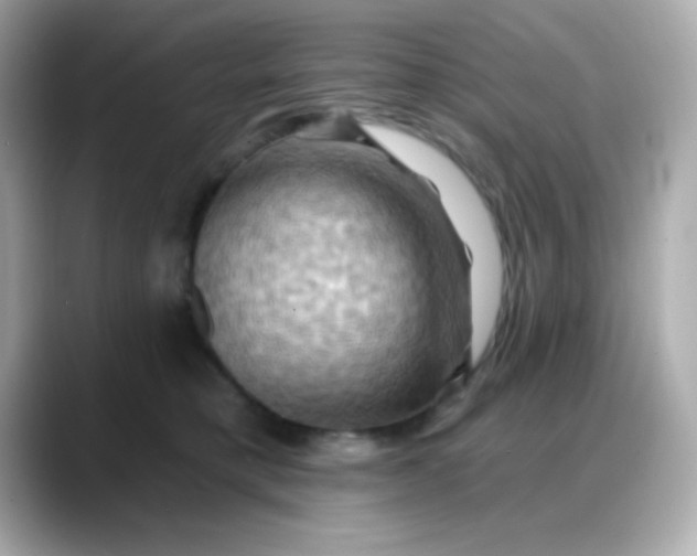 X0000088380421200706051103