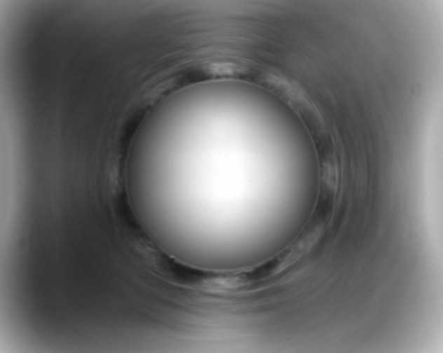X0000088380422200706051103