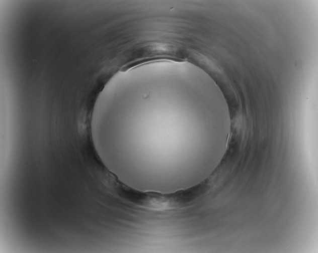 X0000088380423200706051103