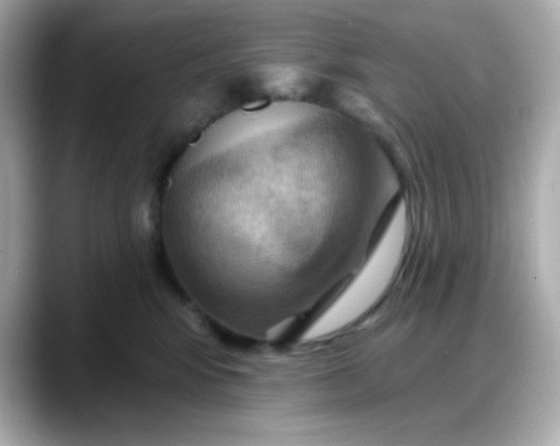 X0000088380424200706051103