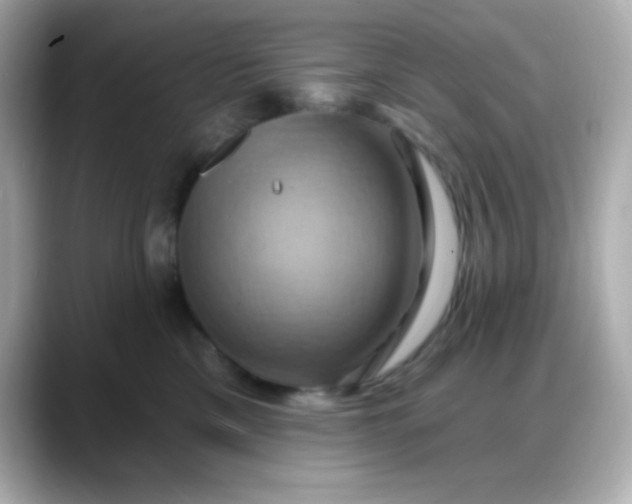 X0000088380425200706051103
