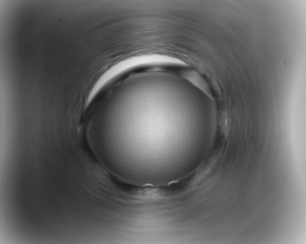X0000088380428200706051103