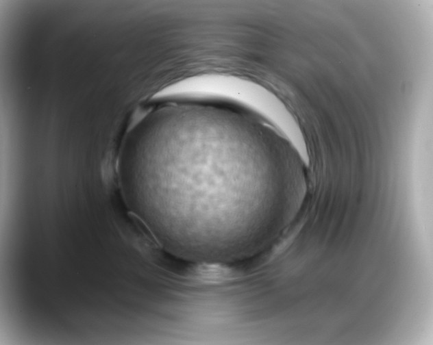 X0000088380429200706051103