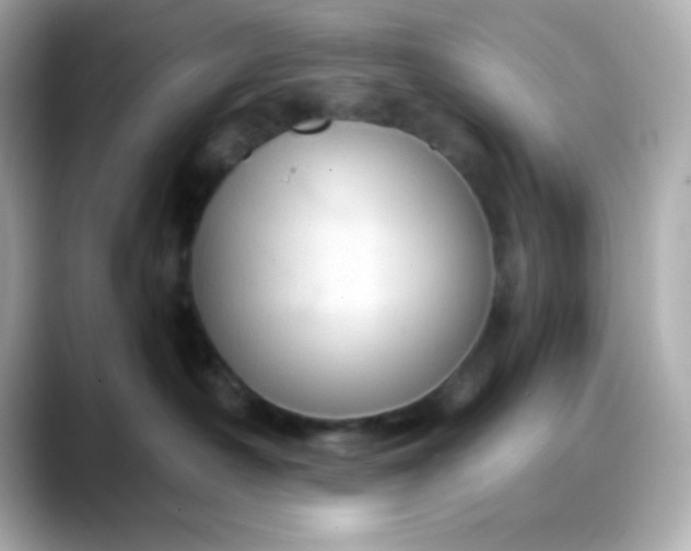 X0000088380430200706051103