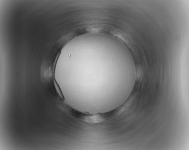 X0000088380431200706051103