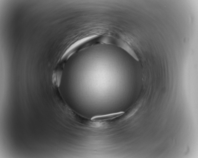 X0000088380432200706051103