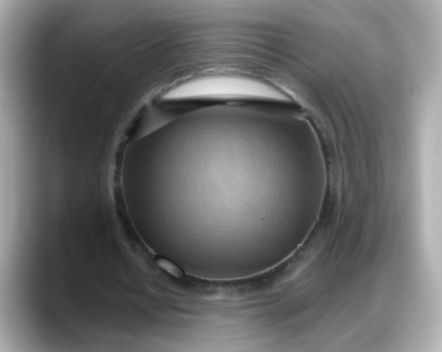 X0000088380434200706051102