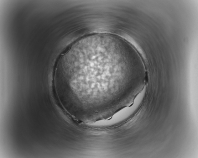 X0000088380437200706051102