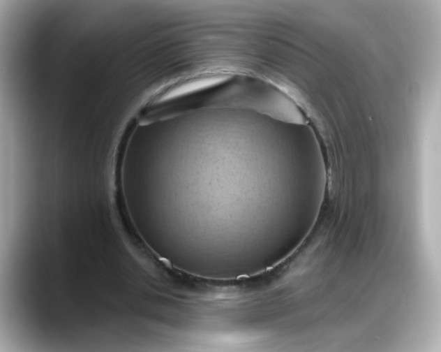 X0000088380438200706051102