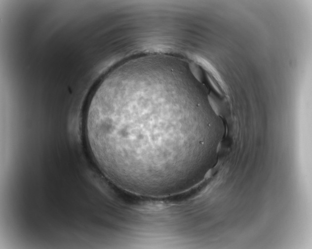 X0000088380439200706051102