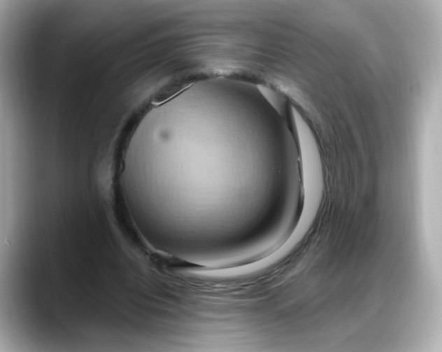 X0000088380440200706051102