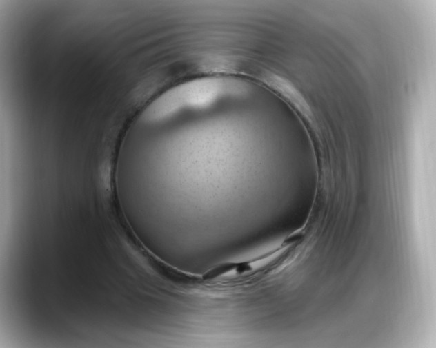 X0000088380441200706051102