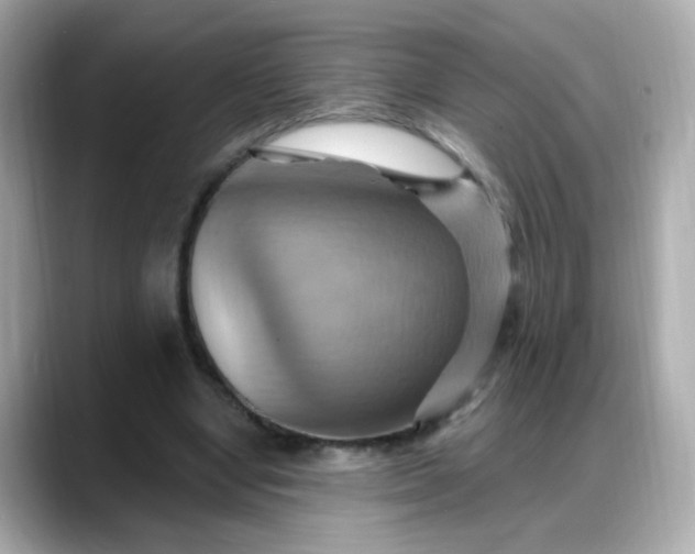 X0000088380442200706051102