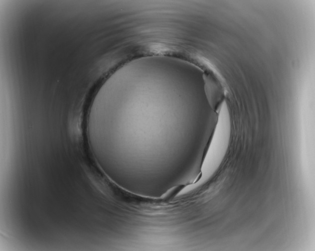 X0000088380443200706051102