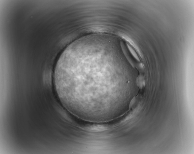X0000088380445200706051102