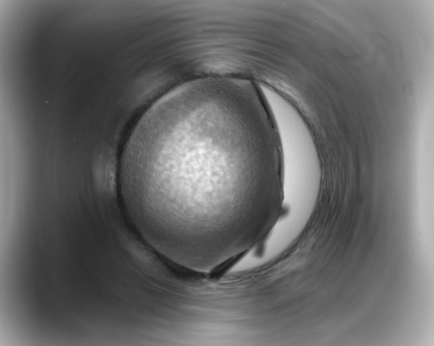 X0000088380446200706051102