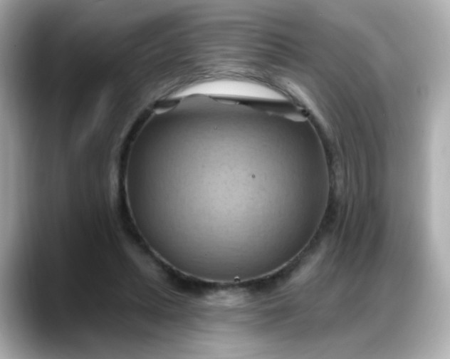 X0000088380447200706051102