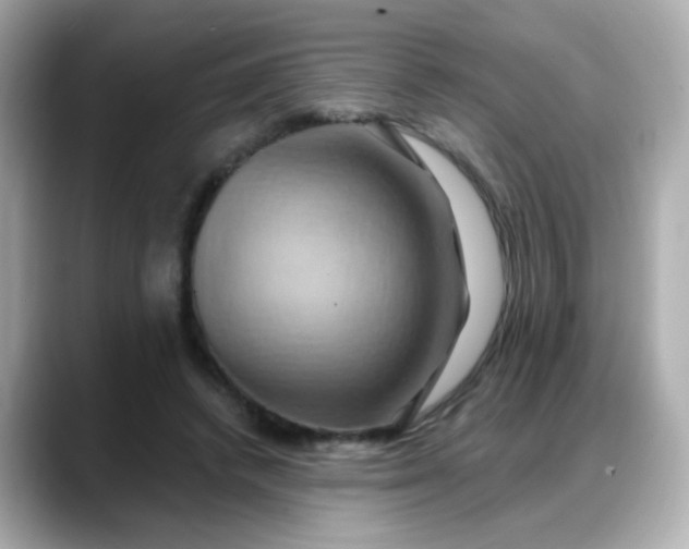 X0000088380448200706051102