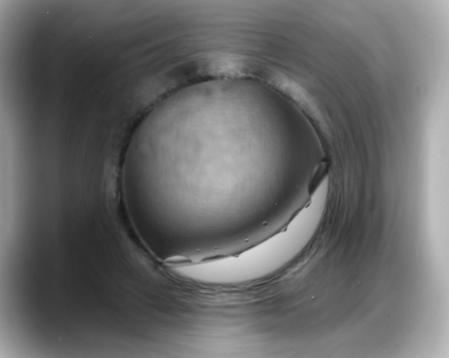 X0000088380449200706051102