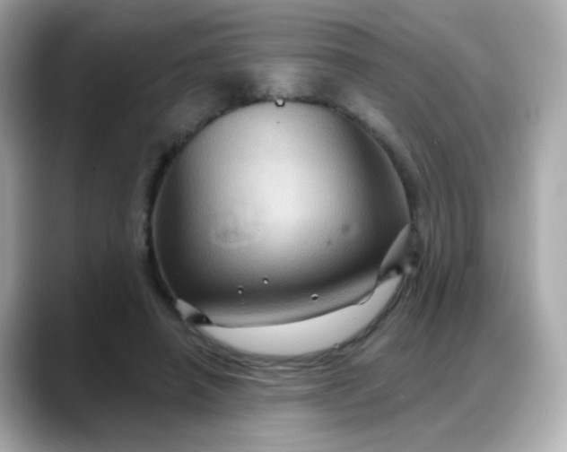 X0000088380450200706051102