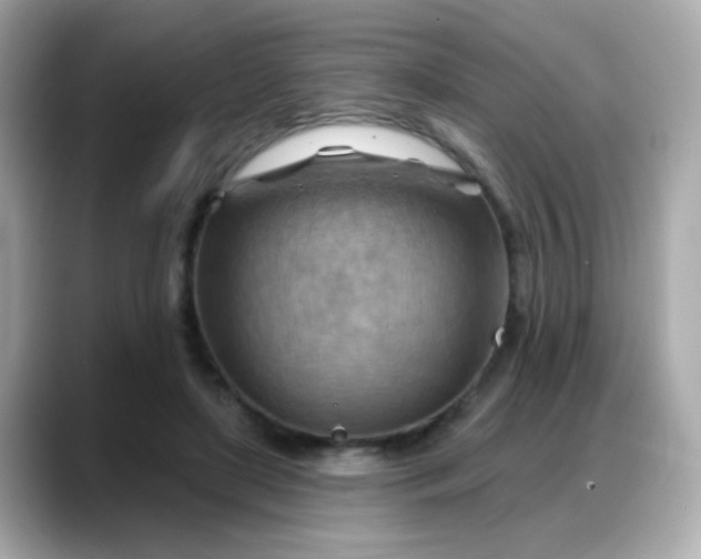 X0000088380451200706051102